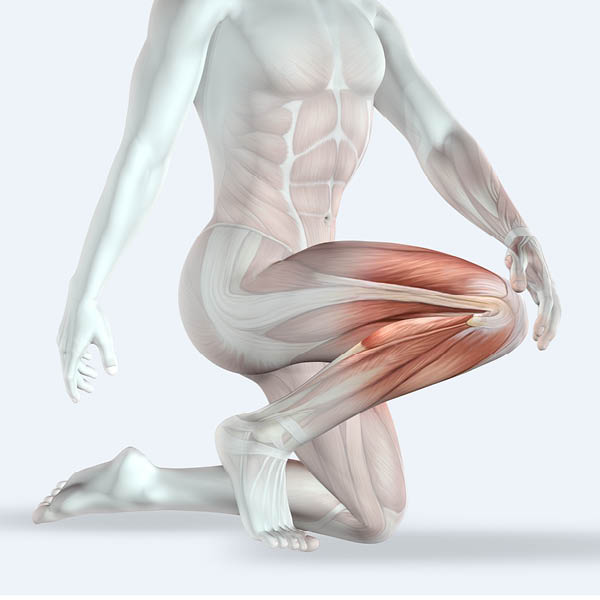 MICRO-CREDENTIALS_Anatomy and Physiology